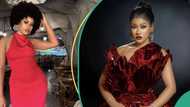 BBNaija Phyna still in shock as she narrates escaping kidnappers' attack in Delta: "Did we just escape?"