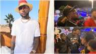 Stop spraying single notes, spend bundles: Moment Davido made cash rain at his nephew's birthday