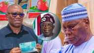 Tinubu reacts to tribunal’s victory, sends 'important' message to Peter Obi, Atiku