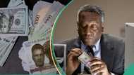 “No supply of dollar”: Naira sets new record, crashes to lowest at unofficial market