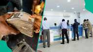 CBN releases latest lending rates of access, UBA, GTBank, Zenith, other banks