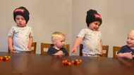 Don't eat this until I come back: Dad tells kids, they feast on candies immediately he leaves them