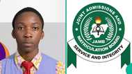 2025 UTME top scorer in Ibadan school scores 356 as 15 other students get above 300, results trend