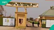 Over 4000 applicants battle for 98 vacancies in the top Northern poly