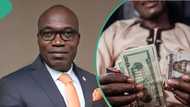 No more N1,200/$: Expert predicts naira performance, exchange rate against US dollar in 2024