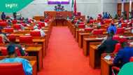 Navy, lawmakers, CSOs reject Nigerian coast guard, urge Senate to kill bill