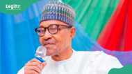 Buhari speaks on survival after leaving presidency