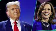 US election 2024: “Excellent stars”, astrologist picks winner between Donald Trump and Harris