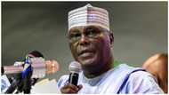 2023: Why I will hand over power to youths, Atiku reveals