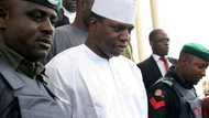 APC presidential primary: Dimeji Bankole steps down for Tinubu