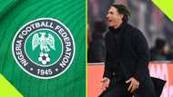 3 crucial demands that made Bruno Labbadia pull out of Super Eagles job