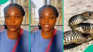 Nigerian lady whose sister survived snake attack twice shares what saved her