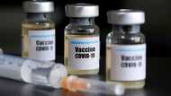 Here is the number of coronavirus vaccines Nigeria will receive soon (It is very small)