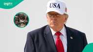 US publishes platform foreigners can use to find jobs in the American military