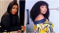 "Most have sugar daddies": Anita Joseph replies Kunle Remi on why their female colleagues do better than males