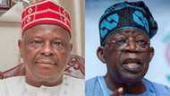 2023 presidency: NNPP, Kwankwaso to collapse structure for Tinubu? Truth emerges