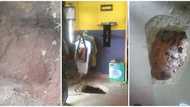 Photos emerge as thieves dig hole underground to steal from a boutique in Delta state