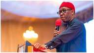 Presidency 2023: Work against Okowa, Delta APC chieftain sends strong message to southern leaders