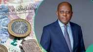 CBN updates British pound, dollar rate as naira crashes after banks, others shut down for 48 hours