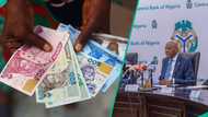 CBN increases banknote printing as cash circulation hits record high