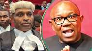 "Disagreements are natural": Peter Obi reacts as key ally Kenneth Okonkwo finally dumps Labour Party