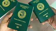 How long does it take to get an international passport in Nigeria? Costs and procedure