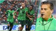 AFCON, Super Eagles, Peseiro: Journalist lists what NFF must do as players 'plot' exit from team