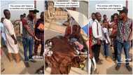"Why are you begging?" Young Nigerian helps mum of triplets, rents room for her, she leaves for street