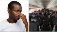 Lagos to London flights: Nigerian deported from UK poo on aeroplane to delay, cancel flight