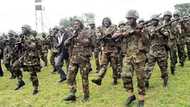 ISWAP insurgents in Lagos? Nigerian troops make crucial arrest