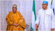 Naira Notes Swap: Ganduje Makes U-Turn On Buhari’s Visit After Extension of Deadline