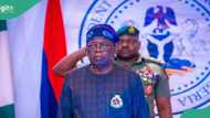 Tinubu goes tough, deports hundreds illegal immigrants back to home countries