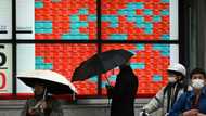 Financial security, not fine art, helps drive Japan stocks to record high