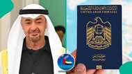 UAE explains how foreign students can apply for residence visa, lists requirements