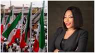 Appeal Court Takes Tough Decision Against PDP House of Representatives' Candidate