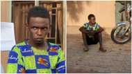 Police make big arrest in Zamfara, nabs 20-year-old notorious bandit terrorising 3 LGA's