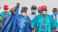 APC leader Tinubu hails Akeredolu over appeal court Victory
