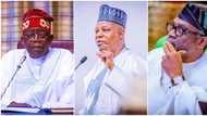 List of former lawmakers in President Bola Tinubu’s team