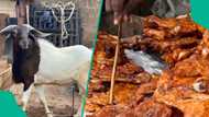 Kano: How Sallah meat surplus left Suya sellers struggling