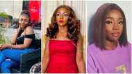"I was rejected 38 times": Nigerian lady lands international job offer after many failures, celebrates online