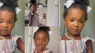 Little girl screams in funny video after seeing her makeup face in mirror, she blames her mum