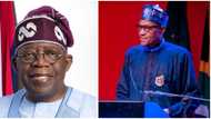 Probe Buhari for alleged illegal withdrawal of funds from CBN, group tasks Tinubu