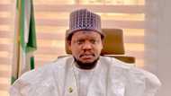 2023 guber polls: Netizen lambasts Adamu Garba over comment about election violence in Lagos