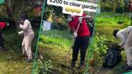 Man charges Nigerian couple in UK N355k to clean their garden, they react, get lawnmower