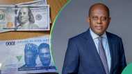 Naira loses N456/$ to hit new low across all markets, defies CBN’s forex injection