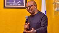 Peter Obi drops bombshell, blasts Tinubu, Atiku over ambition to contest 2023 presidential election