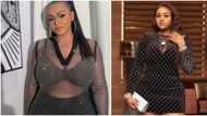 "Carry your endurance group elsewhere": Sina Rambo's ex Heidi slams troll who said she's jealous of Chioma