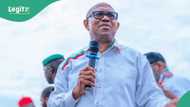 2027: Peter Obi ya yi hangen nesa, ya gano hanyar kwace mulki a hannun APC