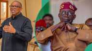 Tinubu's govt accused of plotting to persecute, silence Peter Obi
