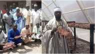 Nigerians react as 1st solar-powered kilishi factory is opened in Katsina, photos go viral